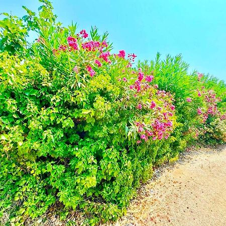 Tetraktys Estate Beachside Υδωρ Ágios Matthaíos 외부 사진