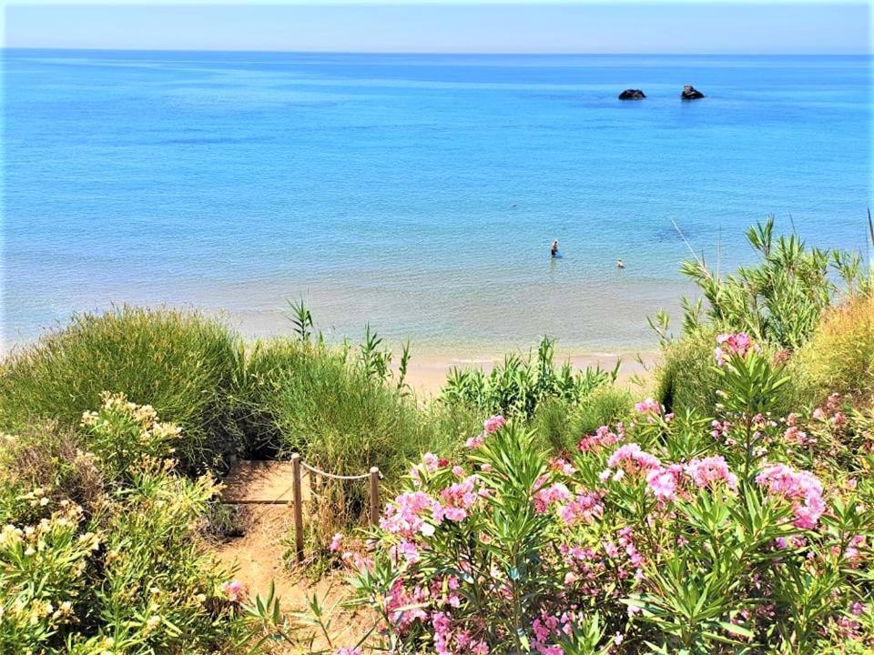 Tetraktys Estate Beachside Υδωρ Ágios Matthaíos 외부 사진