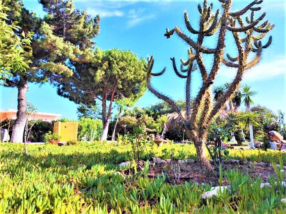 Tetraktys Estate Beachside Υδωρ Ágios Matthaíos 외부 사진