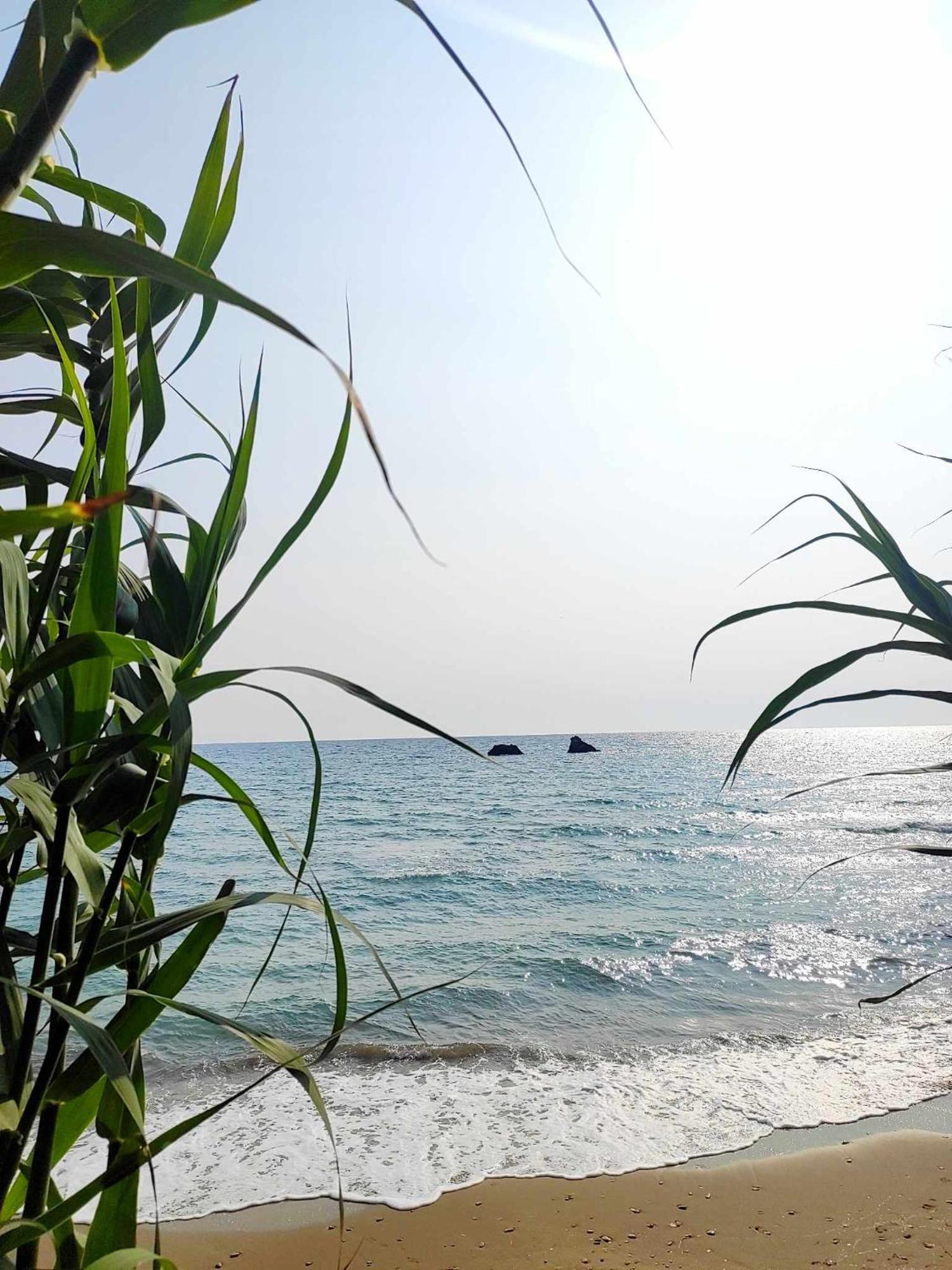 Tetraktys Estate Beachside Υδωρ Ágios Matthaíos 외부 사진